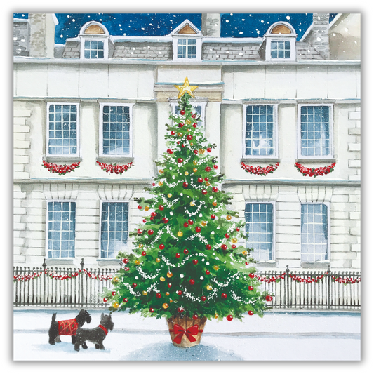 City Tree Card Pack