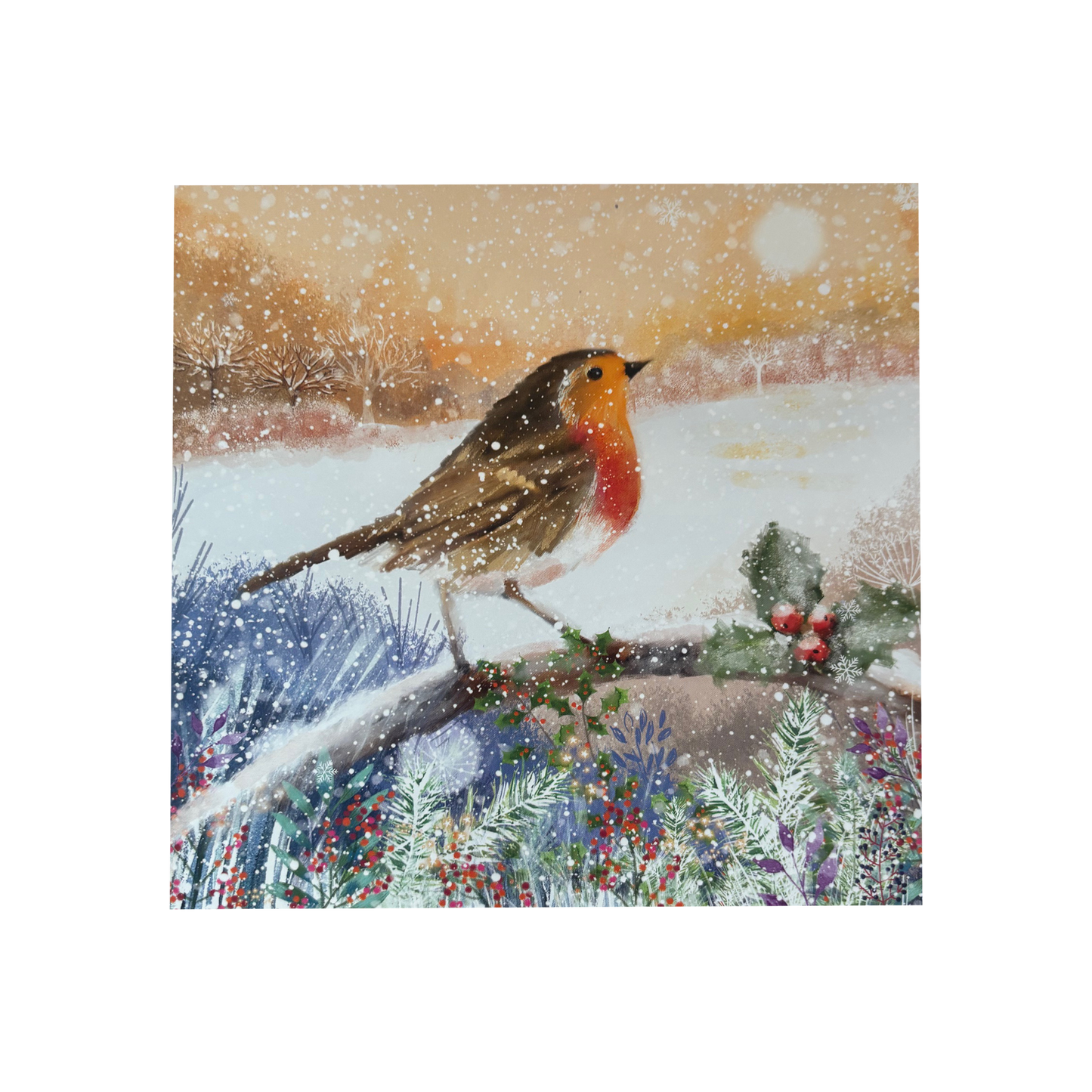 Dawn Robin Cards