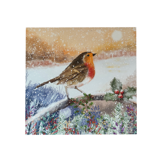 Dawn Robin Cards