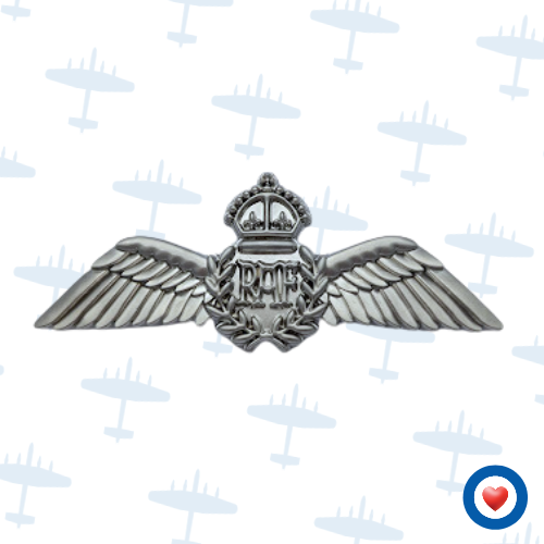 Flying and Qualification Badges