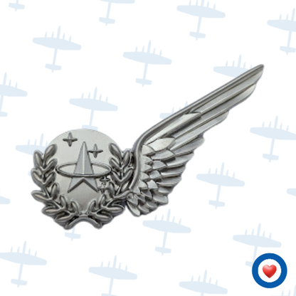Flying and Qualification Badges