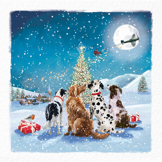 Waiting for Santa Cards